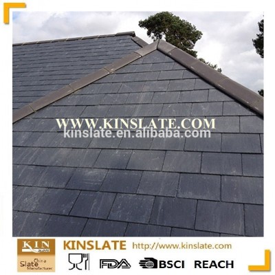 Factory Direct Sales Various Shape Natural Slate Roof for Exterior House